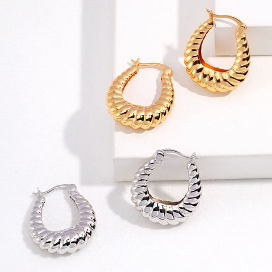 Twisted Hooped Earrings